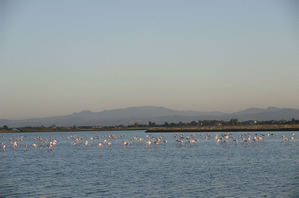 10 cose da fare a cervia