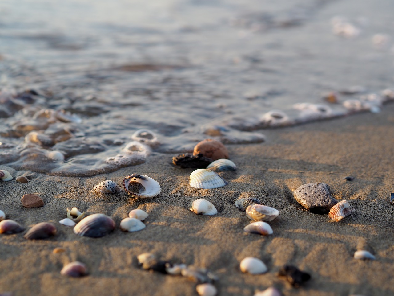 come divertirsi a Bibione